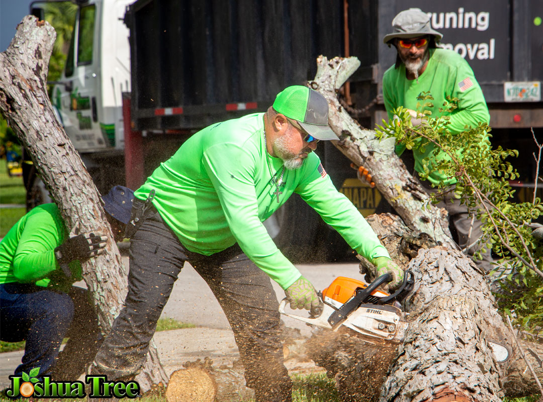 Tree Cutting Service