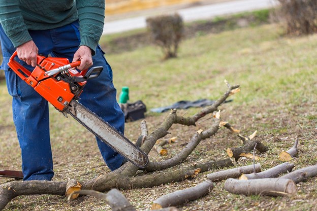 A man with a chainsaw cuts a tree up on the ground.