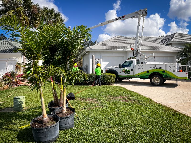 Tree Services Southwest Florida