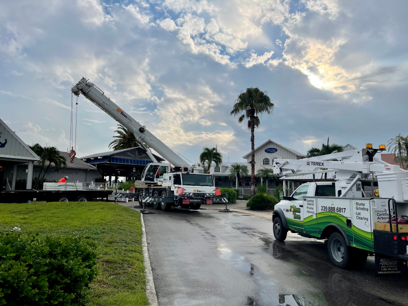 4 (1) Tree Care Southwest Florida