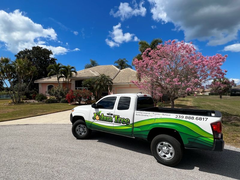 Get a Free Virtual Tree Service Estimate in Southwest Florida – Fast ...