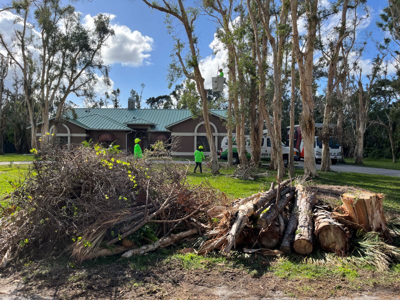 Pruning optimized Southwest Florida home protected by tree pruning