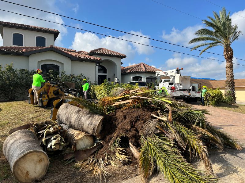 SERVICES PAGE OPTIMIZED 5 Tree Care Southwest Florida