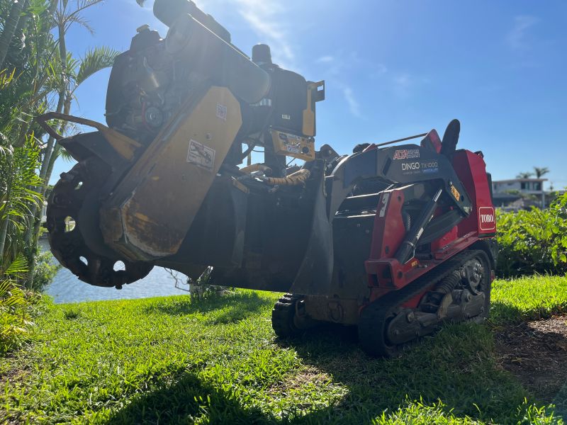 Tree Care Southwest Florida