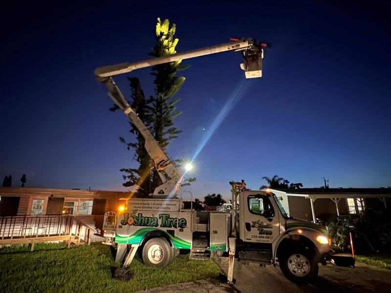 Certified arborist performing proactive storm prep pruning