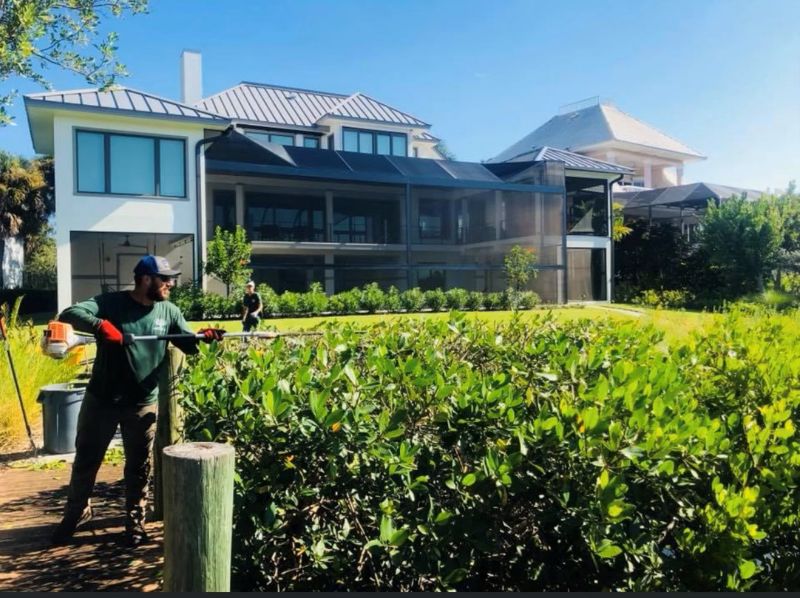 Tree Care Southwest Florida