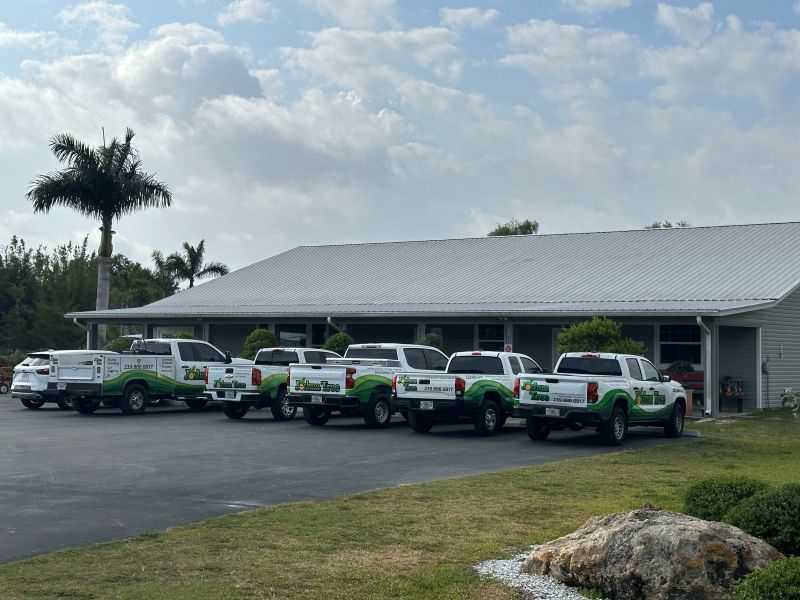 ISA certified arborists in Southwest Florida