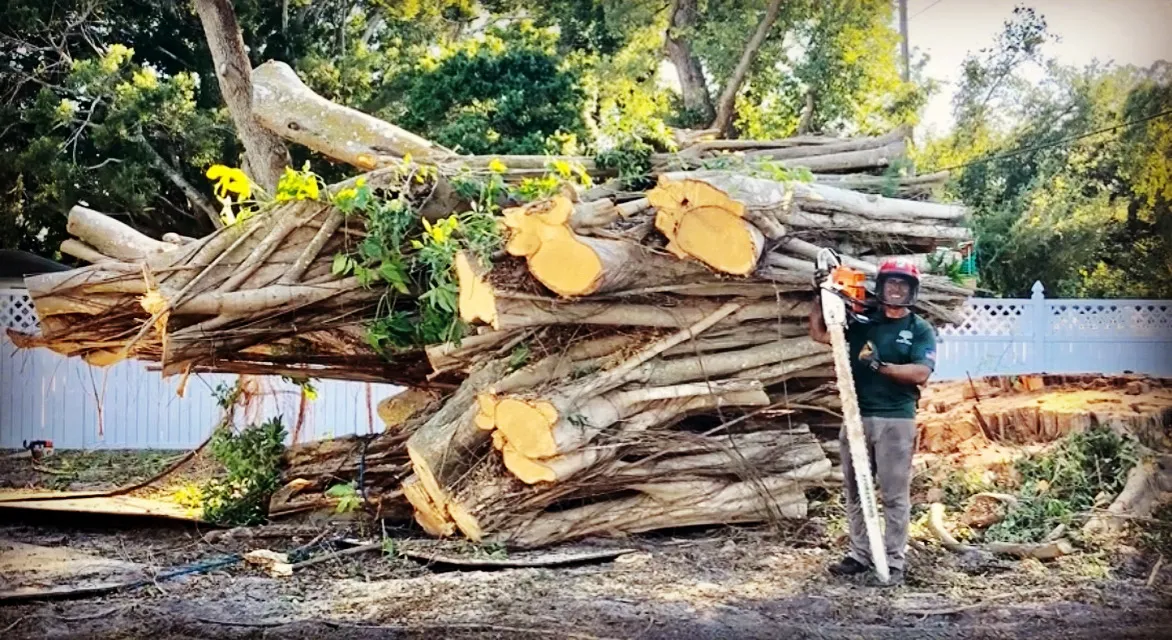 Crew_Shot-Bundled_Tree_Branches