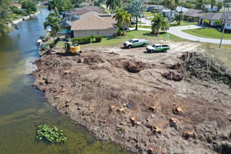Tree Care Southwest Florida