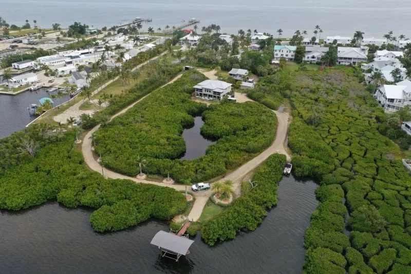 Drone View of Mangroves in Southwest Florida pruned by Joshua Tree Inc.