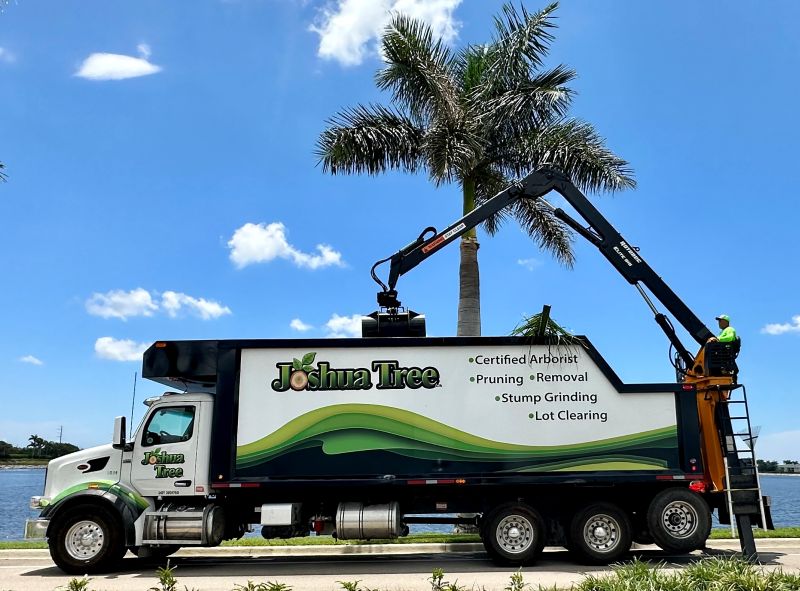 ISA Certified Arborist inspecting a palm tree in Southwest Florida