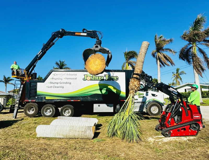 Joshua Tree Inc. crew performing safe palm tree removal using cranes and specialized equipment in Southwest Florida