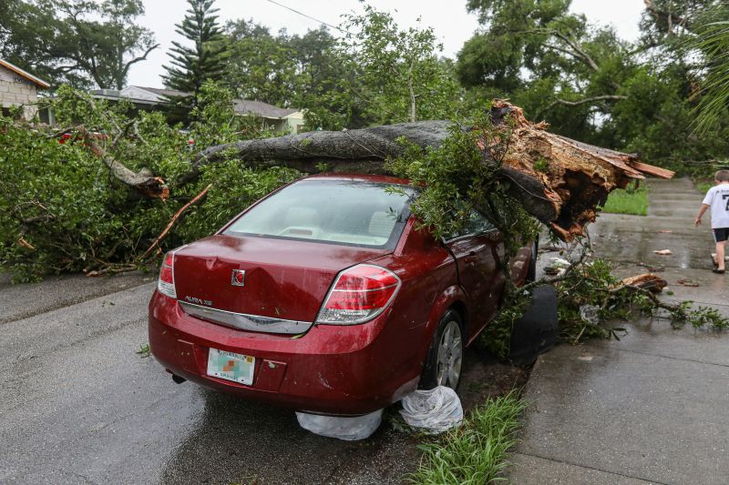 Tree with visible structural damage near a Florida home