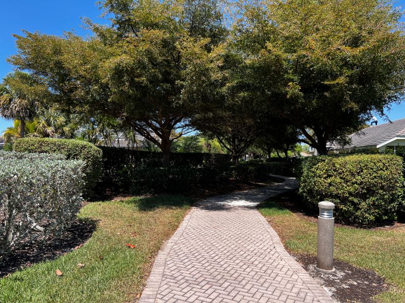 healthy trees due to proper Florida specific fertilization