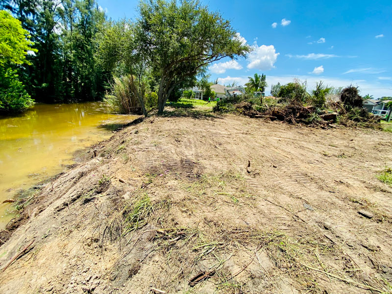 lot-clearing-cape-coral Tree Care Southwest Florida