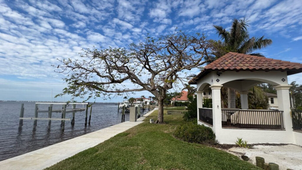 Before and after fertilization results on a Royal Poinciana
