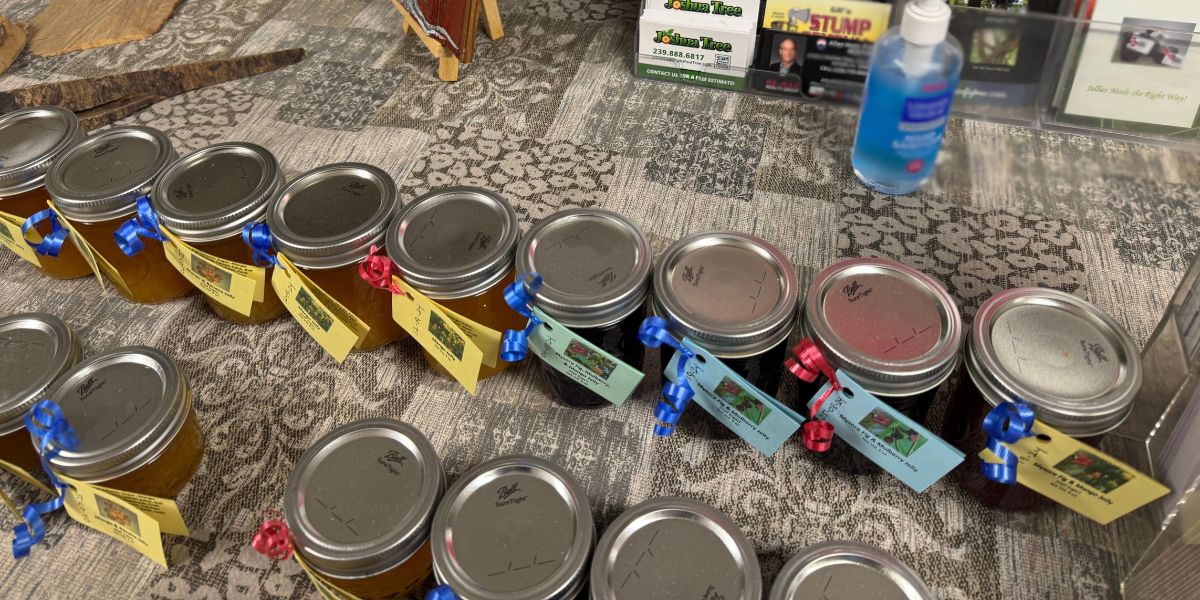 Handmade fig jam jars from the Mysore fig tree in Estero, Florida, displayed with colorful labels and ribbons.