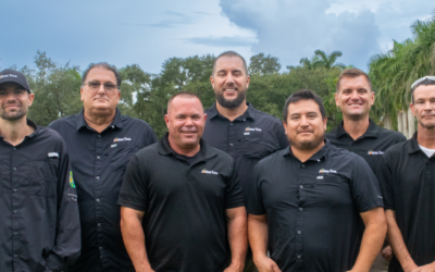 10 Questions to Ask Before Hiring a Tree Service
