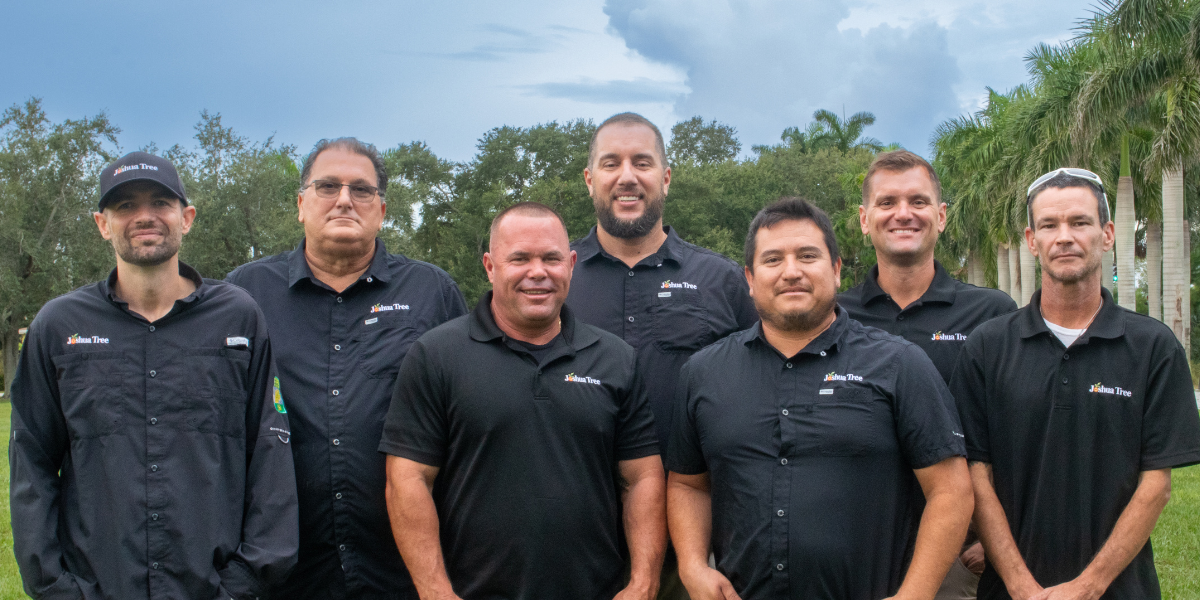 tree care advisors at joshua tree inc in southwest florida