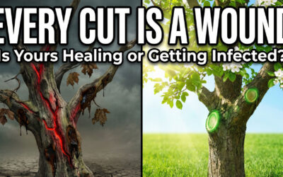 Pruning vs. Trimming: What’s the Difference and Why It Matters