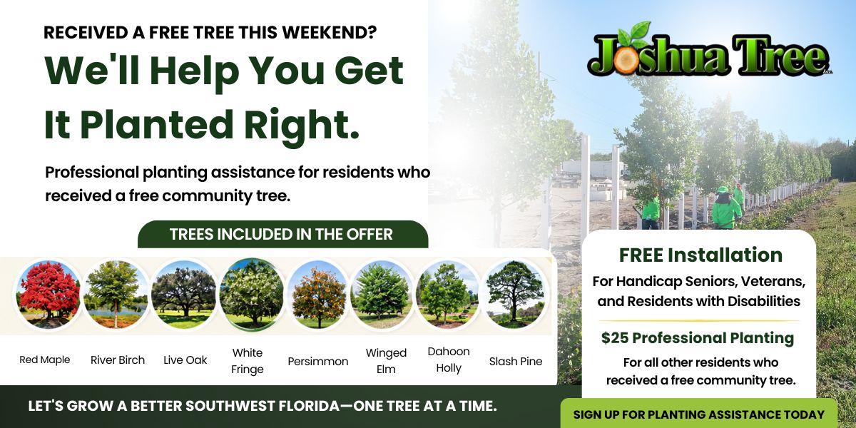 ISA Certified Arborist planting a free community tree in Fort Myers.