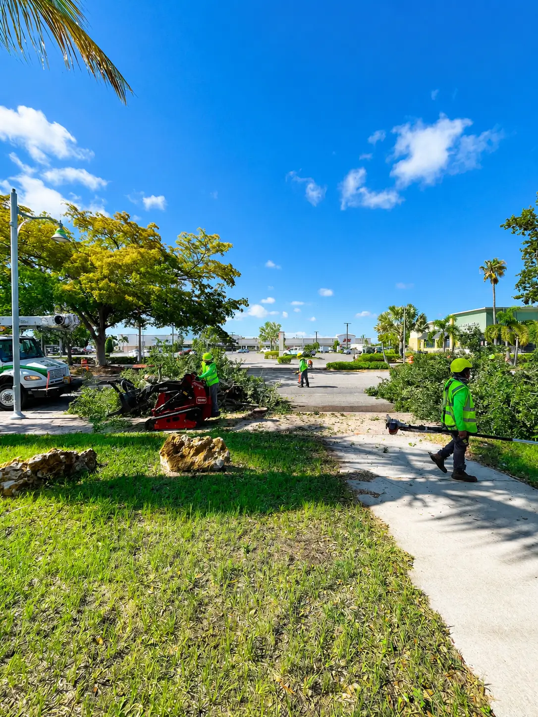 DO YOU NEED A PERMIT TO REMOVE A TREE IN CAPE CORAL?