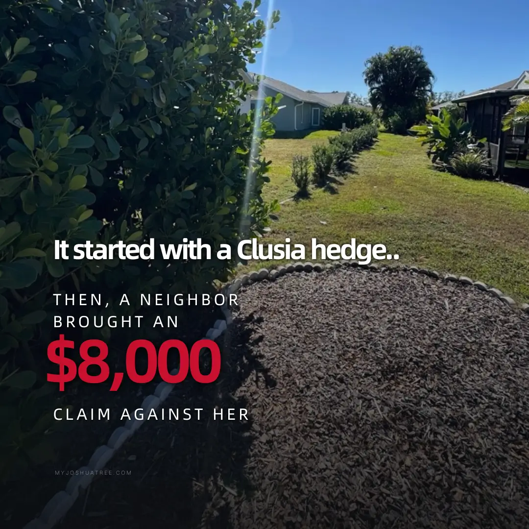 It started with a Clusia hedge The $8,000 Hedge: Can You Legally Trim a Neighbor's Hedge in Florida?