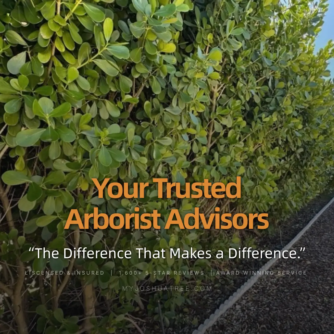 Close-up of a dense green hedge, overlaid with the text "Your Trusted Arborist Advisors" and "The Difference That Makes a Difference."